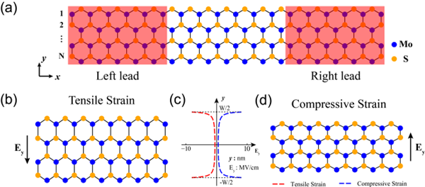 1594090927997021309.png 图片1_副本.png